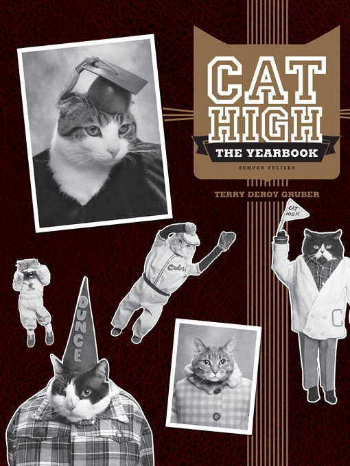 Cover image for Cat High
